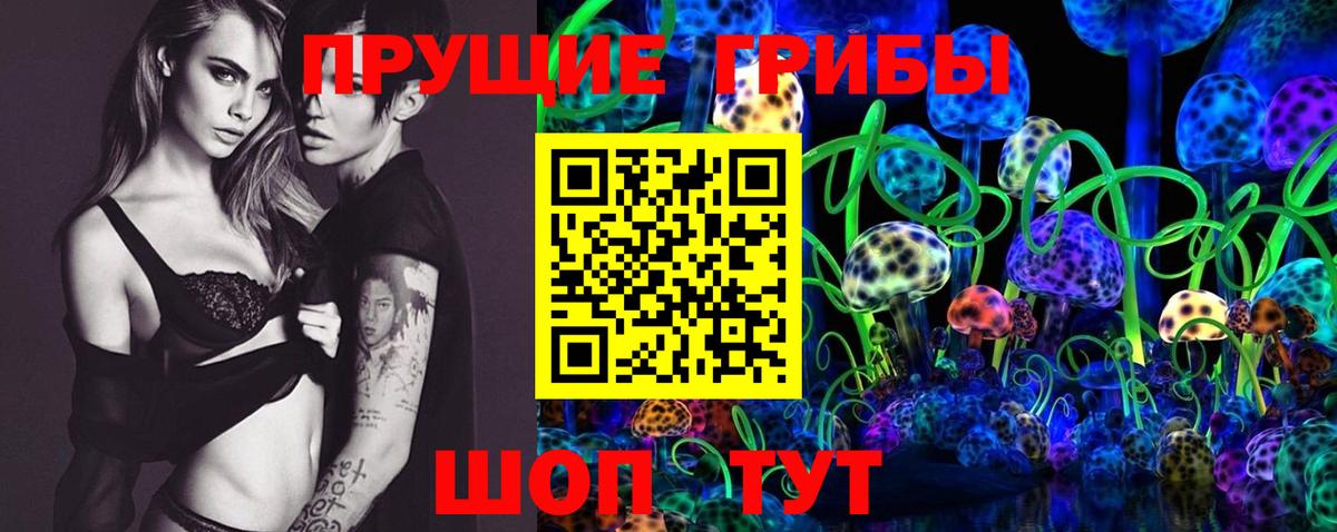 где можно купить наркотик  Галлюциногенные грибы Psilocybine cubensis  Вход с VPN  Амурск 